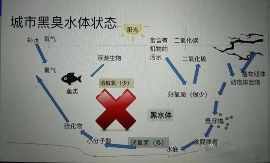 江蘇億元投資治污新技術(shù) 石墨烯能否治理黑臭水體？