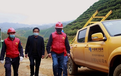 平塘供電局：“加減法”同構(gòu)服務(wù)，護(hù)航“貴州春茶第一壺”