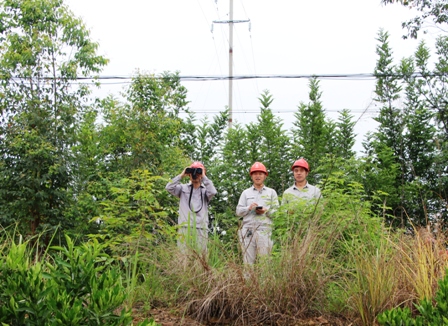 國網(wǎng)江永縣供電公司:負責(zé)人帶隊巡線，精施策護網(wǎng)保電