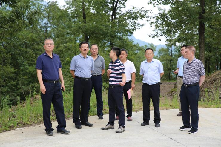 中國能建總經(jīng)理、黨委副書記孫洪水一行赴陜西鎮(zhèn)巴縣調(diào)研定點扶貧工作