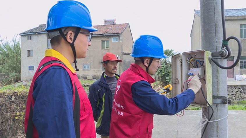 國網寧波市鄞州區(qū)供電公司：備戰(zhàn)藺草冬種 “電保姆”巧解難題
