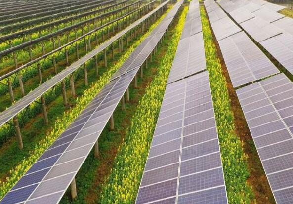 廣東清遠建設(shè)小型農(nóng)光互補光伏發(fā)電站，工程總投資1.5億元