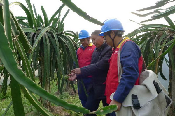 國網(wǎng)寧?？h供電公司：“電力紅馬甲”護(hù)航，退役軍人鄉(xiāng)村創(chuàng)業(yè)“紅如火”