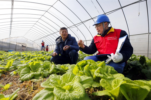 浙江寧波供電公司： 寒冬里，“電管家”守好百姓“菜籃子”