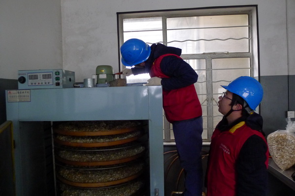 國網(wǎng)寧?？h供電公司：電力紅馬甲服務(wù)鄉(xiāng)村企業(yè) ，讓黃精變“黃金”