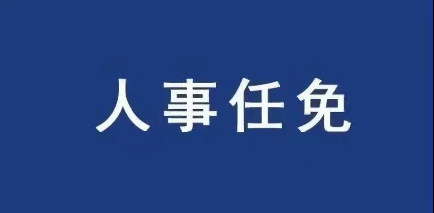 重磅！張智剛?cè)螄译娋W(wǎng)總經(jīng)理、黨組副書記，韓君出任三峽集團(tuán)總經(jīng)理