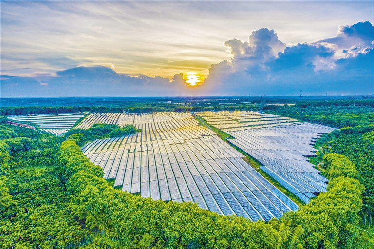 海南電網(wǎng)公司加快構(gòu)建現(xiàn)代供電服務(wù)體系，驅(qū)動(dòng)鄉(xiāng)村振興電力引擎