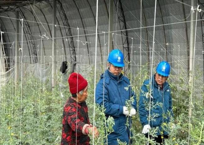 山東惠民供電公司：走訪種植大棚，優(yōu)化農(nóng)業(yè)營商環(huán)境