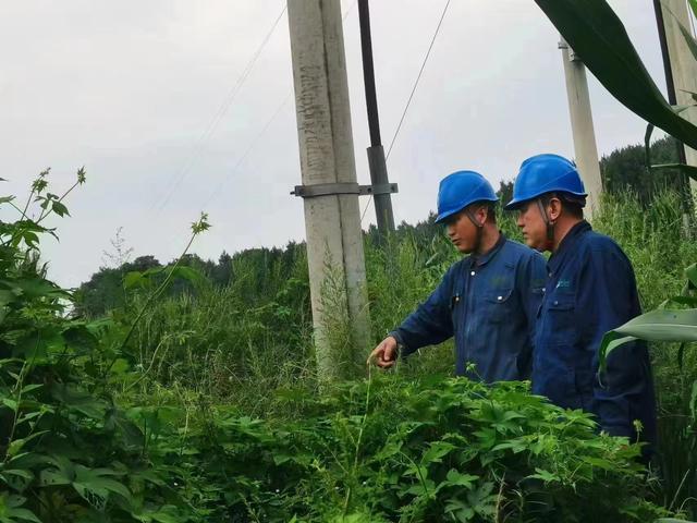 國網(wǎng)長春供電公司積極應(yīng)對極端天氣，確保線路設(shè)備穩(wěn)定運行