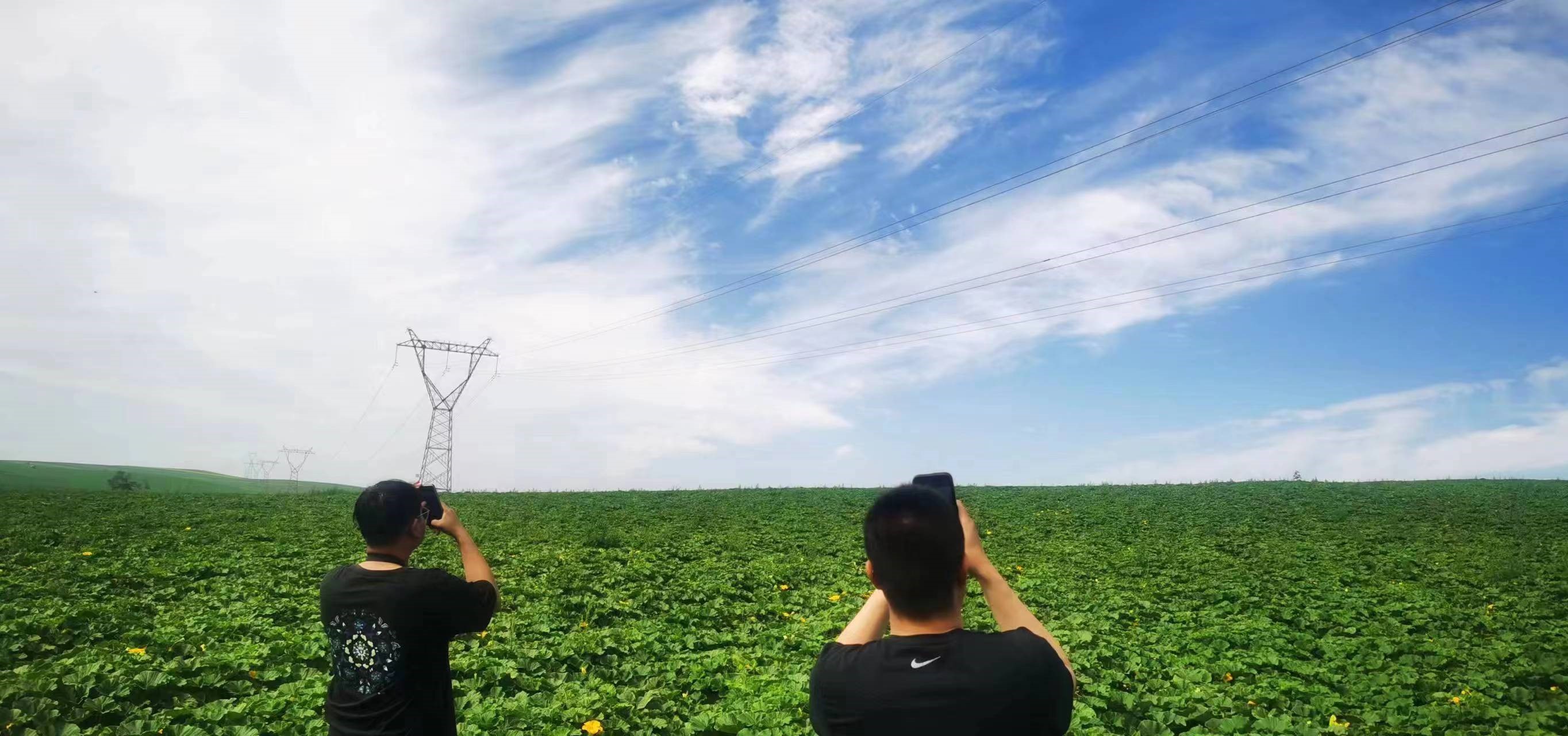四子王輸變電管理處：防外力破壞，助安全運行
