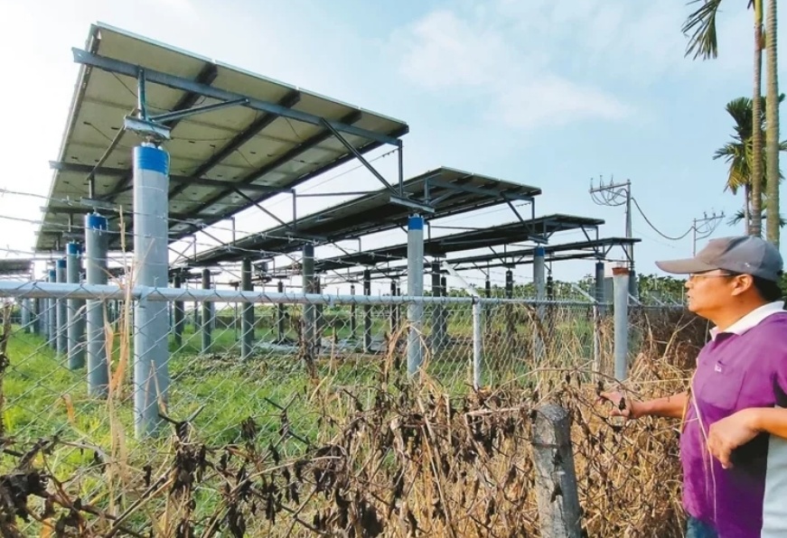 臺(tái)媒：農(nóng)田“種電”讓農(nóng)民苦不堪言，島內(nèi)面臨農(nóng)電兩失困境