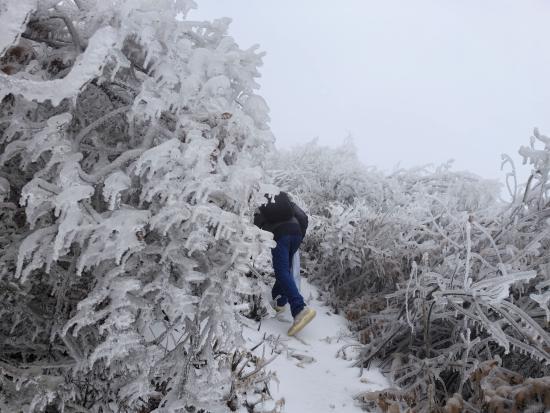 【新春走基層】迎雪而上攻堅行，奮戰(zhàn)不息護光明