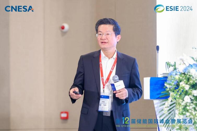 林澤波：儲能企業(yè)出海不是價格競爭，而是以定制優(yōu)質(zhì)產(chǎn)品和服務實現(xiàn)可持續(xù)發(fā)展