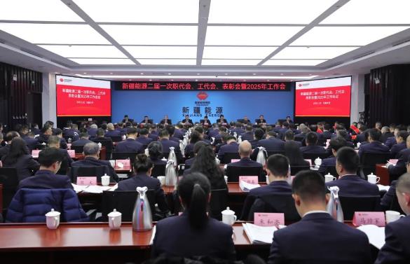 國能新疆能源召開二屆一次職代會、工代會、表彰會暨2025年工作會