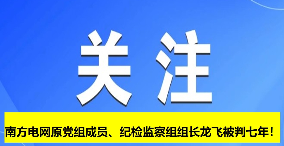 南方電網(wǎng)原黨組成員、紀(jì)檢監(jiān)察組組長龍飛被判七年！